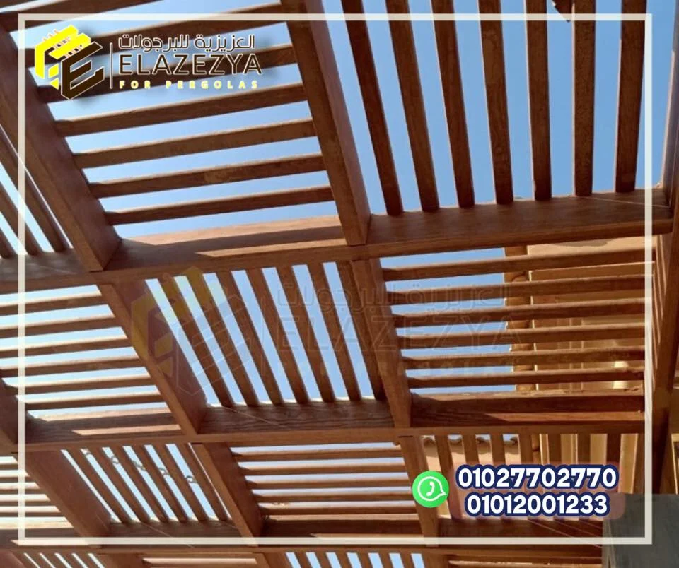 106483871 278172910273163 656443799137215930 n 1