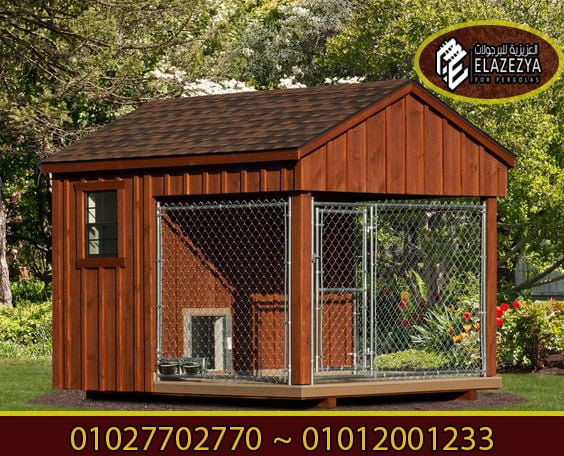 بيت كلب برجولات شركة العزيزية 2