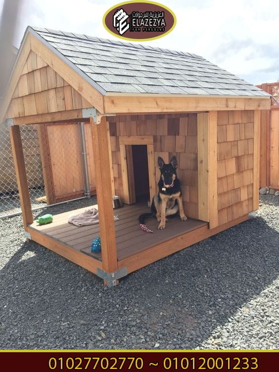 بيت كلب برجولات شركة العزيزية 4