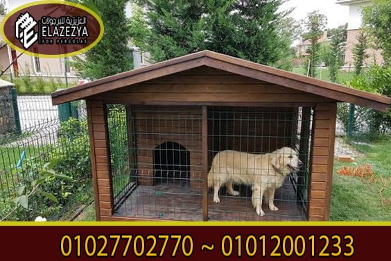 بيوت كلاب خشب جاهزة للبيع